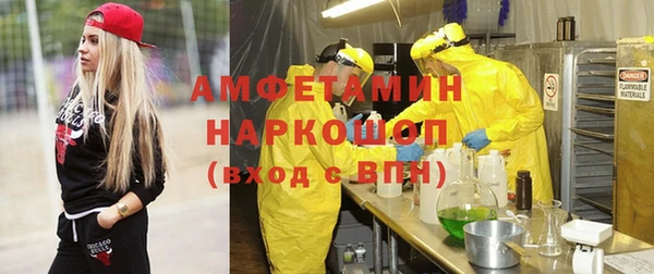индика Бронницы